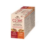 wellness core chunks cat food